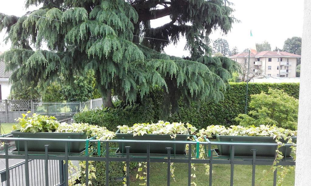 Affittacamere Giudici Lentate sul Seveso Esterno foto